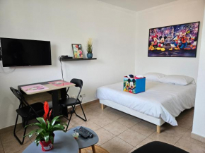 212 Appartement Disneyland Paris Montevrain